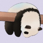 Suzhou Texnet Profile Picture