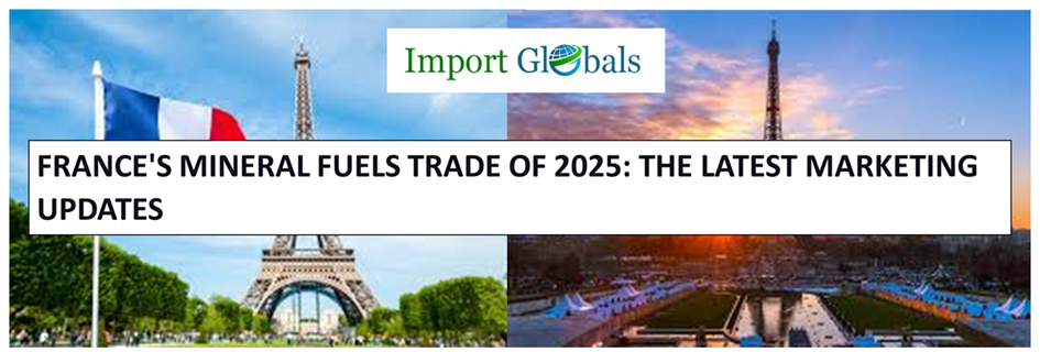 France’s Mineral Fuels Trade of 2025: The Latest Marketing Updates – Import Globals