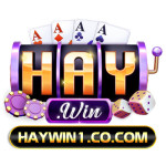 Haywin Cổng Game Đổi Thưởng Profile Picture