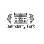 Ballinderry Park Profile Picture