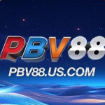 PBV88 USCOM Profile Picture