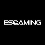 Es gaming Pc Profile Picture