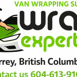 wrap expert Profile Picture
