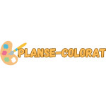 Planse Colorat Profile Picture