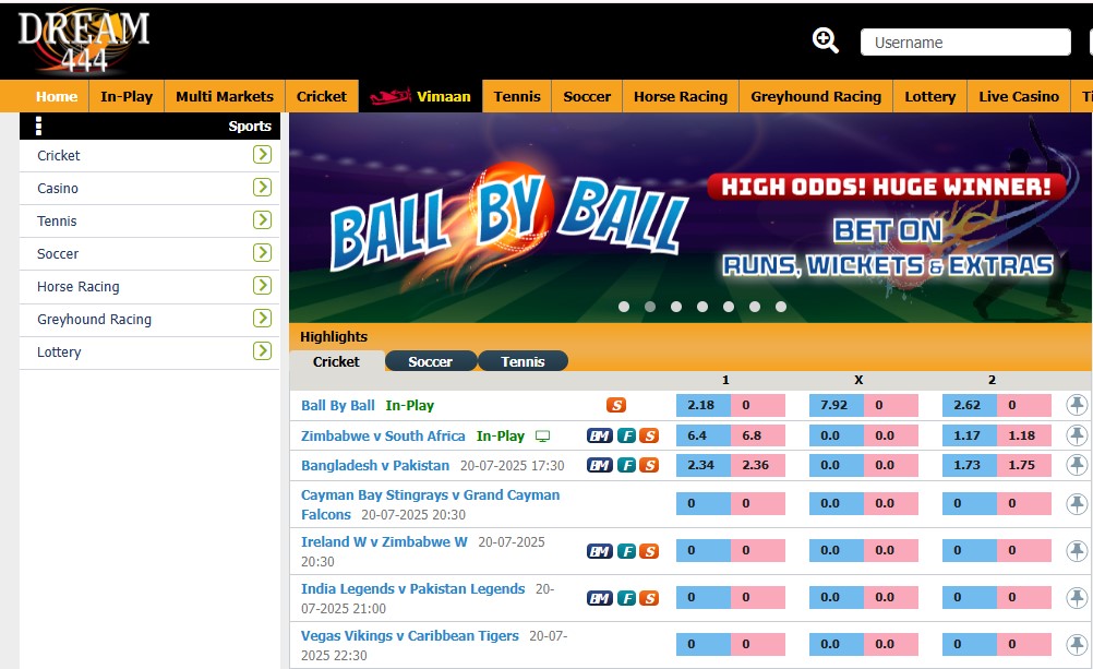 Easy Money Deposits and Withdrawals at Dream444.com: Start Winning Now!