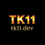 TK11 dev Profile Picture