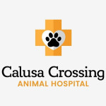 Calusa Crossing Animal Hospital Profile Picture