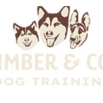 timberand codog Profile Picture