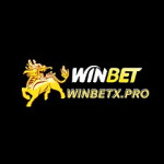 Nhà cái Winbet Profile Picture