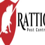 Rattic Pest Control Profile Picture