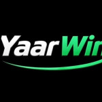 YaarWin games Profile Picture
