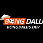Bongda lu Profile Picture