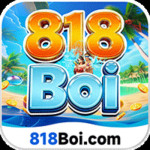 818boi com Profile Picture