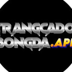Trang Cá Độ Bóng Đá Profile Picture