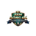 xembongda lytuongnet Profile Picture