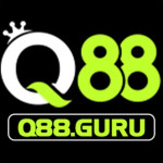 q88 guru Profile Picture
