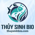 Thuysinhbio Com Profile Picture