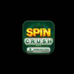 SPIN CRUSH Profile Picture