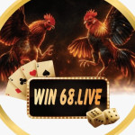 Win68 Live Profile Picture