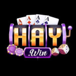 Haywin rucom Profile Picture