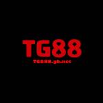 Tg888 gb net Profile Picture