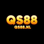 Qs88 nl profile picture