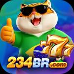234br Profile Picture