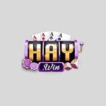 Cổng Game Haywin Profile Picture