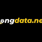 Bongdata Bongdata profile picture