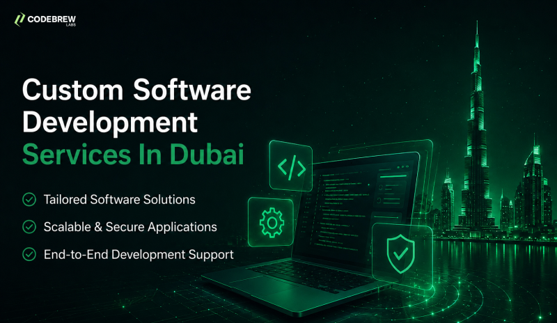 How to Choose the Best Software Development Company in Dubai?