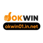 Okwin01 innet Profile Picture