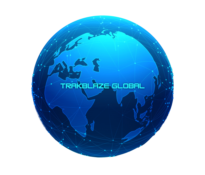 Best Electronic Weighbridge Manufacturers in India | Industrial Weighing Scales -Trakblaze