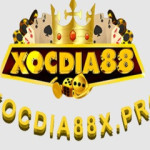 Xocdia88 Hereweare Xóc Đĩa Online Profile Picture