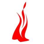 Mindfire Solutions Profile Picture