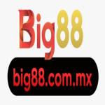 Big88 commx Profile Picture