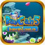 Bancah5 comco Profile Picture