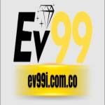 Ev99i com co Profile Picture