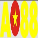 AO88 top Profile Picture