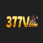 377v Profile Picture