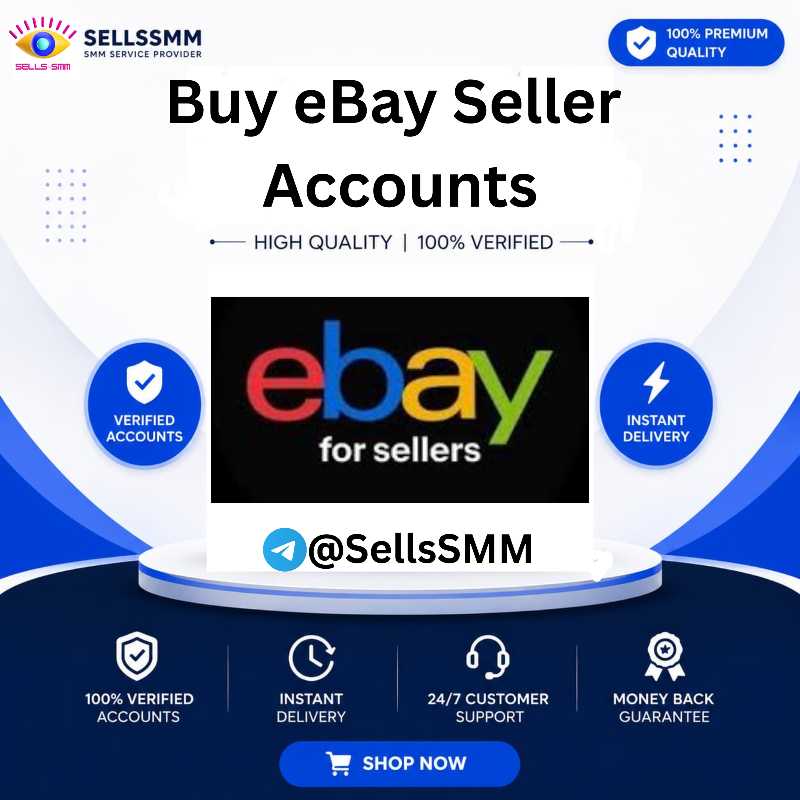 Buy eBay Seller Accounts - Verified & Ready to Use 100%