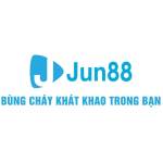 Jun88n dev Profile Picture