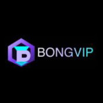 Nền Tảng BONGVIP Profile Picture