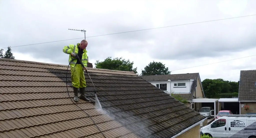 Roof Treatment Auckland | Roof Moss Treatment – Tidy Homes