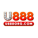 U8 88 Profile Picture
