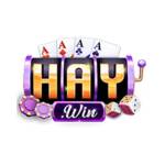 Cổng game Haywin Profile Picture