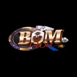 BomWin Profile Picture