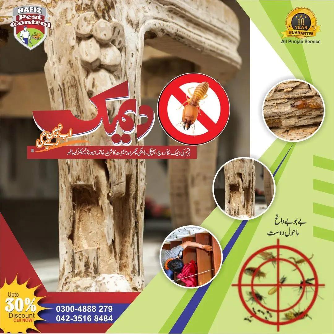 Deemak Control In Lahore & Pest Control Services |...