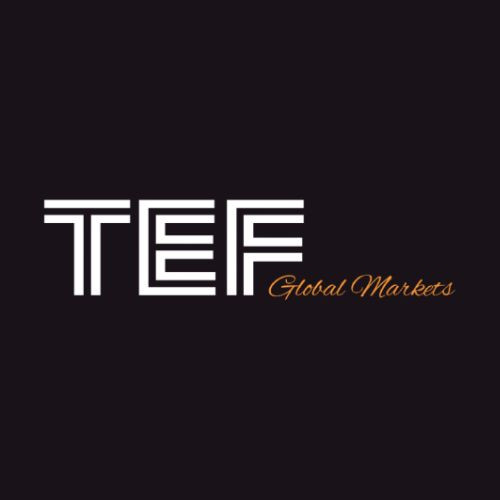 Tef Global Markets Profile Picture