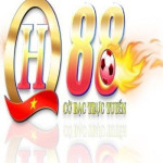 QH88 US Profile Picture