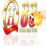 QH88 US Profile Picture